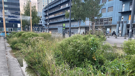 Blau-grüne Naturflächen sind wichtig, um das Stadtklima zu verbessern – aber auch, um die Lebensräume von Tieren und Pflanzen zu vernetzen (Foto: Giulia Donati). Blau-grüne Naturflächen sind wichtig, um das Stadtklima zu verbessern – aber auch, um die Lebensräume von Tieren und Pflanzen zu vernetzen (Foto: Giulia Donati).