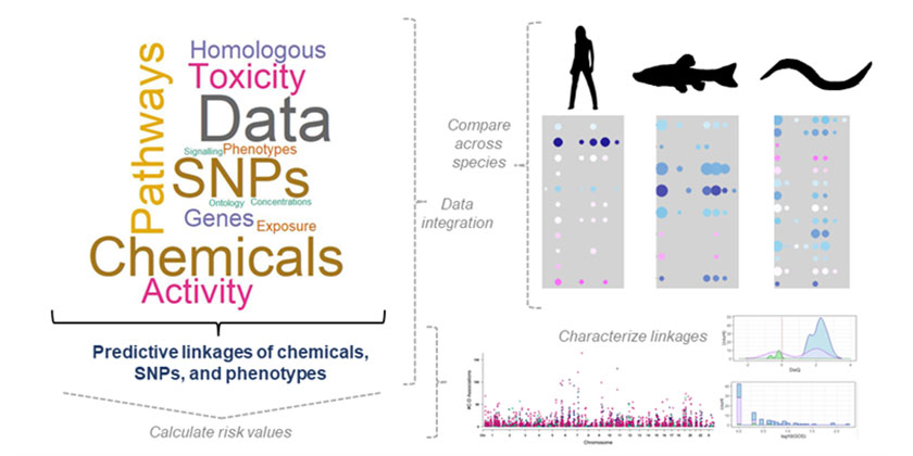 Overview of project data integration, linkage interpretation/data analysis, and visualization. (Picture: Marissa Kosnik)