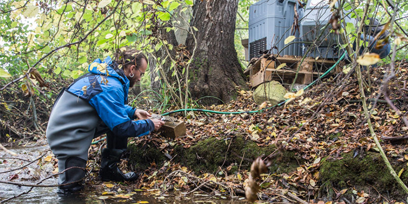Sampling in the Eschelisbach, a stream in the canton of Thurgau (Photo: Esther Michel, Eawag)
