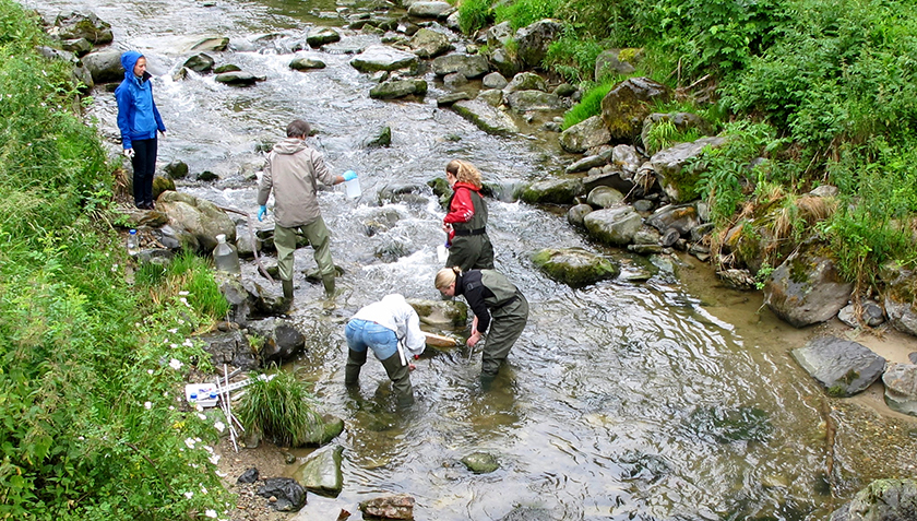 I ricercatori e le ricercatrici analizzano l’idrochimica e l’idrobiologia nei corsi d'acqua, rispettivamente a monte e a valle degli impianti di depurazione (Foto: Eawag).
