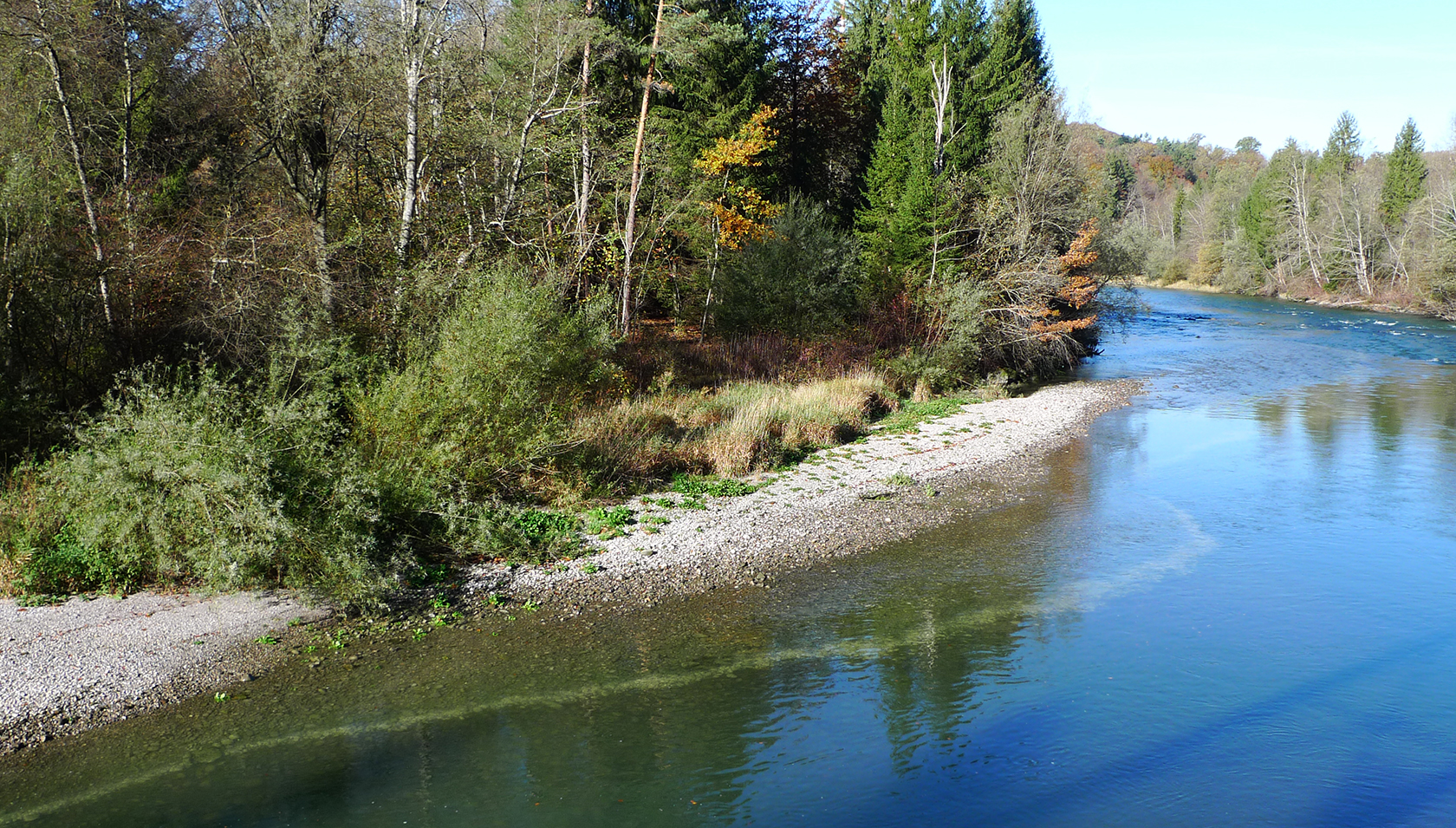 Im Uferbereich der Saane im Kanton Freiburg sind die Abflussschwankungen aufgrund von Schwall-Sunk gut zu erkennen. Die helle Linie im Wasser zeigt den Wasserstand während einer Sunk-Phase an. Auch das Schwall-Maximum ist gut sichtbar am benetzten Teil der Kiesbank (Foto: Christine Weber).