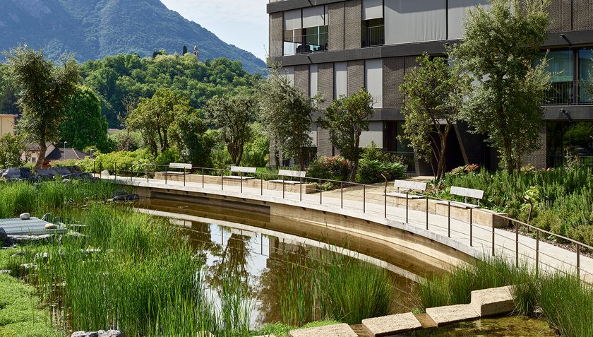 Bassin de rétention des eaux de grande valeur écologique dans l’espace urbain (Parco Casarico, Sorengo TI) (Photo Igor Ponti).