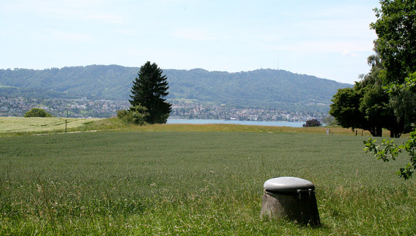 Farmland or forest? Researchers found amphipods less frequently at groundwater extraction sites located near farmland than at those in the middle of a forest (Photo: Wikimedia, Adrian Michael).