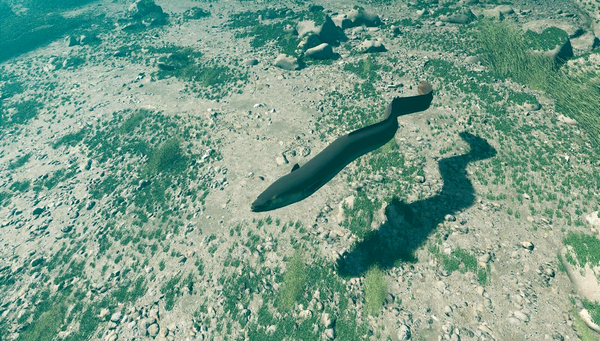 Folgen Sie einem Aal im Rheinfallbecken, dank 3D Virtual Reality auch einem Lachs (Foto: timescope, computergeneriert aus dem Fischoskop).
