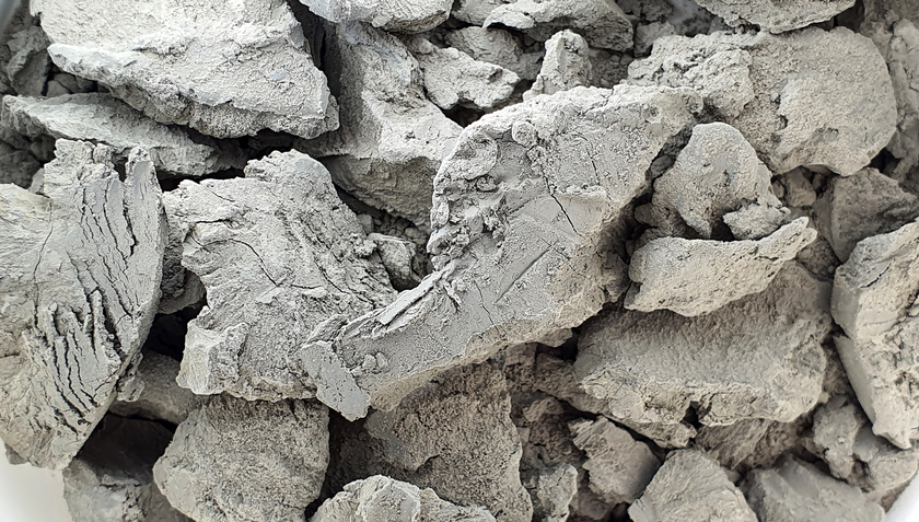 Im Ur-Greifensee abgelagerte, feine Sedimente (Foto: Yama Tomonaga, Eawag, Uni Basel).