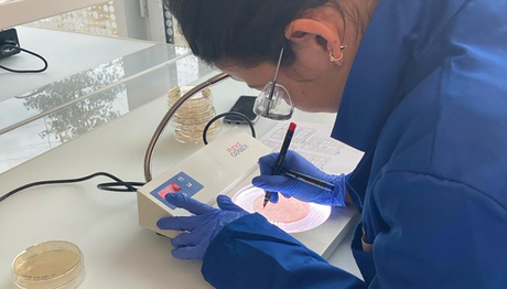 Sheena Conforti, chercheuse à l’Eawag, identifie les bactéries dans les échantillons d’eaux usées analysés (Photo: Eawag, Melissa Pitton).