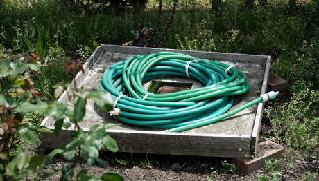 Auch in Garten- und Duschschläuchen fühlen sich Legionellen wohl (Foto: Unsplash). Auch in Garten- und Duschschläuchen fühlen sich Legionellen wohl (Foto: Unsplash).