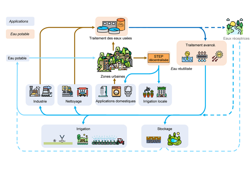 On peut envisager de réutiliser les eaux usées épurées de stations d’épuration (STEP) centralisées, mais aussi d’installations décentralisées. Celles-ci traitent les eaux usées là où elles sont produites, ce qui permet une réutilisation sans longs transports. (Graphique: Eawag, adapté du Kompetenzzentrum Wasser Berlin [2024], icônes de flaticon.com)  