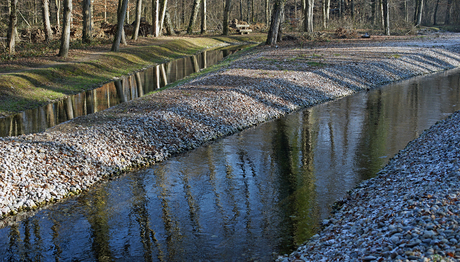 Infiltrationskanäle wie hier im Hardwald bei Muttenz (BL) sind eine Möglichkeit, um das Grundwasser anzureichern. (Foto: Hardwasser AG) Infiltrationskanäle wie hier im Hardwald bei Muttenz (BL) sind eine Möglichkeit, um das Grundwasser anzureichern. (Foto: Hardwasser AG)
