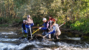 Research team taking fish samples in the Langete river using the electrofishing method (Photo: Dario Josi).