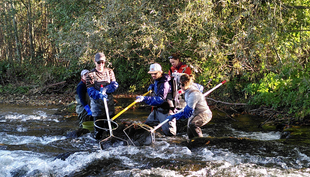 Research team taking fish samples in the Langete river using the electrofishing method (Photo: Dario Josi).