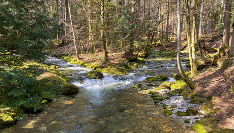 Toutes les rivières suisses ne sont pas dans un état proche de l’état naturel, comme ici l’Orbe dans le canton de Vaud (photo: Adobe Stock).