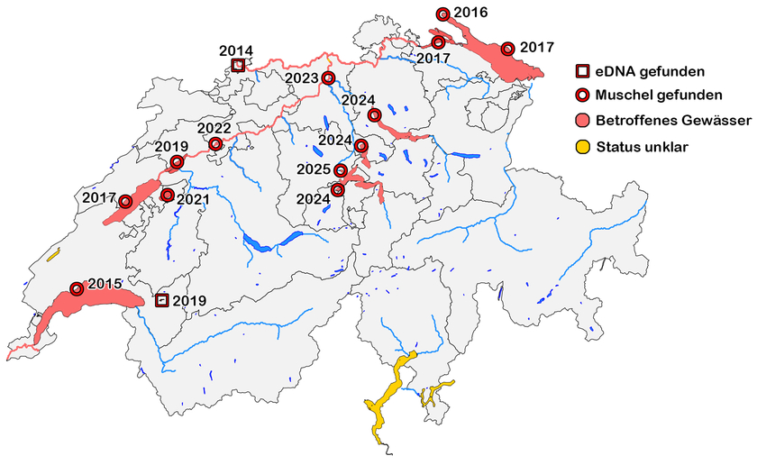 Grafik: Haltiner et al. 2022, überarbeitet)  Grafik: Haltiner et al. 2022, überarbeitet)