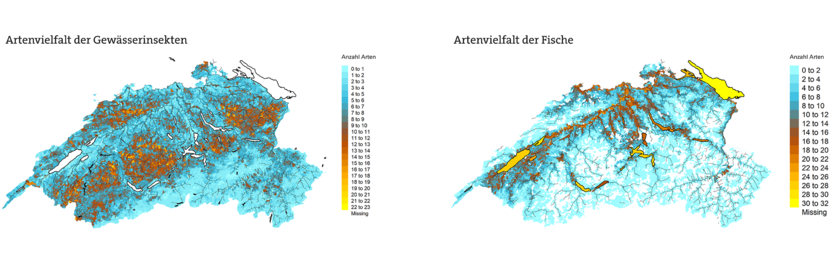Heutige Artenvielfalt bei Gewässerinsekten (links) und Fischen in den Einzugsgebieten von Aare, Limmat, Reuss, Rhein (Grafik: Originalpublikation)