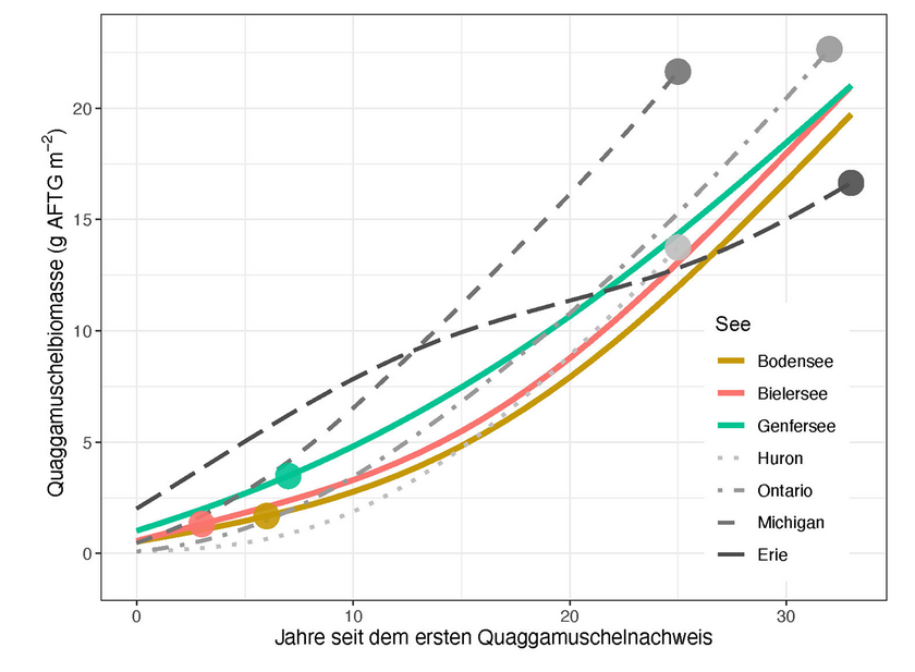 Calcul de la biomasse de la moules quagga par mètre carré sur une période de 33 ans depuis sa première détection. Les points représentent la situation en 2022. (Graphique: Kraemer et al., 2023, remanié)