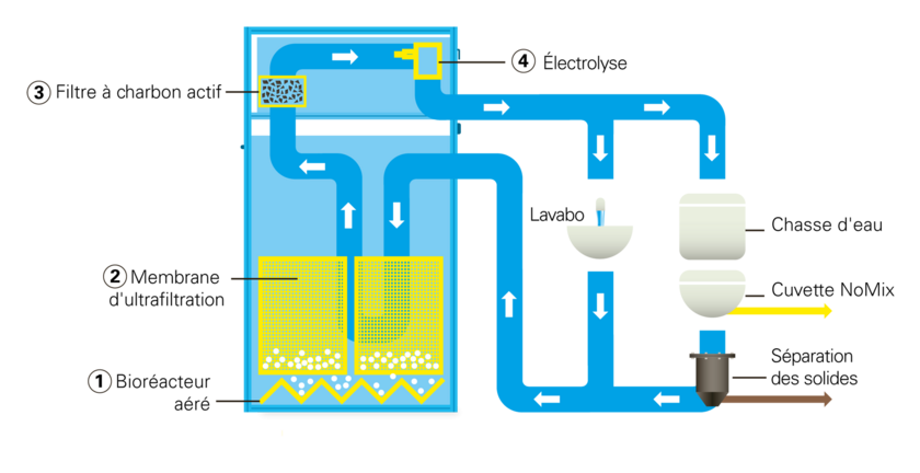 Dans le Water Wall d´Autarky, les eaux du lavage des mains et de la chasse d´eau sont recyclées dans une boucle fermée. Le cœur du dispositif est un bioréacteur aéré (1) dans lequel les impuretés comme le savon et les restes d´urine et de fèces sont biodégradées par des micro-organismes. Une ventilation intelligemment réglée permet la transformation des composés azotés en azote gazeux élémentaire (nitrification et dénitrification). Dans un deuxième temps, l´eau traverse par gravité une membrane d´ultrafiltration (2) qui retient les germes pathogènes. Au cours de la troisième étape, un filtre à charbon actif (3) élimine les substances responsables de turbidité et d´odeurs pour produire une eau visuellement propre. La quatrième et dernière étape consiste en un traitement par électrolyse (4) qui garantit l´élimination des dernières traces de polluants organiques. Au lieu d´ajouter des produits chimiques pour désinfecter l´eau, le système utilise du chlorure dissous qui est converti en chlore réactif dans la cellule d´électrolyse. Ce procédé évite que des micro-organismes ne se redéveloppent dans l´eau lors de son stockage. (Graphique: Peter Penicka, Eawag)