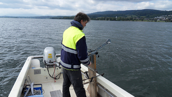 Water samples for the measurement of glyphosate in Lake Greifen were collected by the Zurich Office for Waste, Water, Energy and Air (AWEL) as part of a cantonal water monitoring programme. (Photo: Sebastian Stötzer)