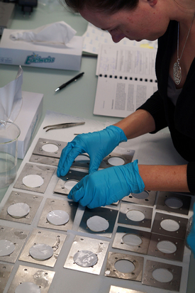 In the laboratory, Eawag doctoral student Jennifer Schollée prepares passive samplers for the second sampling campaign on the Urtenenbach. Passive sampling is used to determine concentrations of water pollutants. (Photo: Birgit Beck, Eawag) 