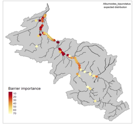 Importance of individual obstacles for re-establishing fish passage for the schneider. The darker the red colour, the higher the priority (Graphic: original publication).