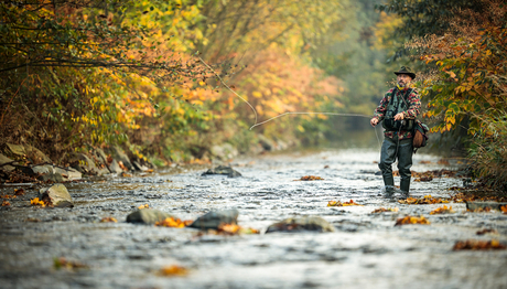 The fisheries advisory service (FIBER) puts research findings relevant to fisheries into practice (Photo: Adobe Stock).