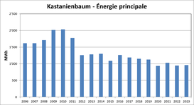 Kastanienbaum - énergie primaire
