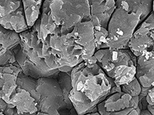 Scanning electron micrograph of limestone at t0 (left) 