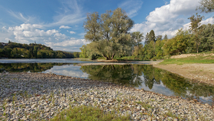 Zusammenfluss von Limmat und Aare (Foto: Jan Ryser/BAFU).