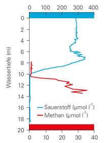 Typischer Verlauf der Sauerstoff- und Methankonzentrationen im Lago Cadagno. Der Methanabbau findet in einer relativ dünnen Schicht in 10-13 Meter Tiefe statt. (Quelle: Eawag/MPI-Bremen)