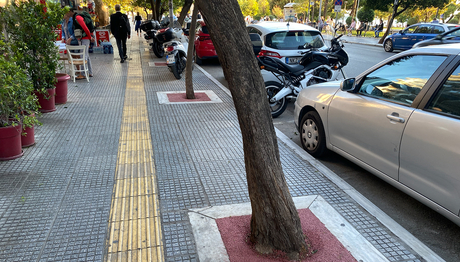 A tree with little space for collecting rainwater from the street will suffer from water deficit, reducing its capacity to cool down its surroundings. (Photo: Lucas Gobatti) A tree with little space for collecting rainwater from the street will suffer from water deficit, reducing its capacity to cool down its surroundings. (Photo: Lucas Gobatti)