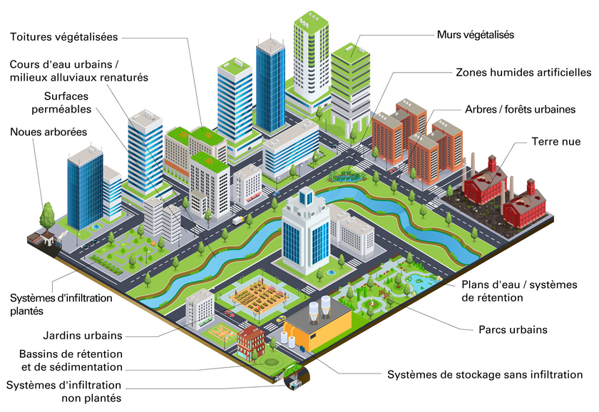 Exemples d´infrastructures vertes et bleues (Graphique: Cook, Good, Moretti, Kremer, Wadzuk, Traver, and Smith (In revision) “Towards the intentional, multifunctional design of urban green infrastructure: a paradox of choice?” Nature Urban Sustainability)